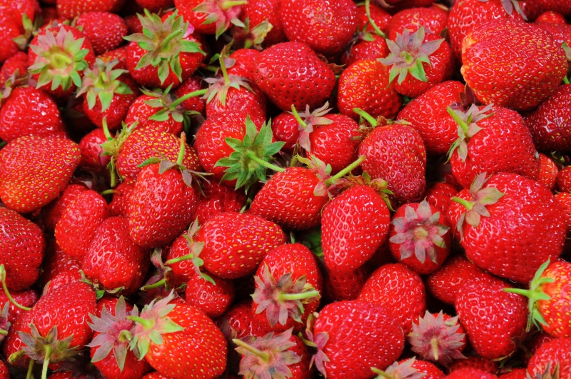 primeur-CLAVIERS-min_strawberries-528791